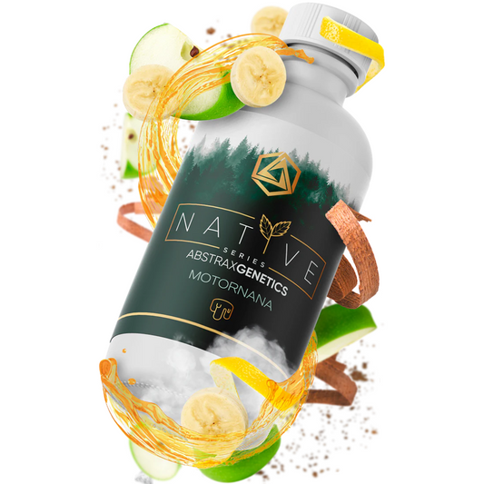 Motornana Terpene Profile