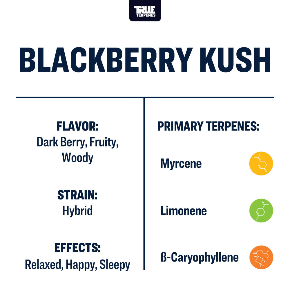 Blackberry Kush
