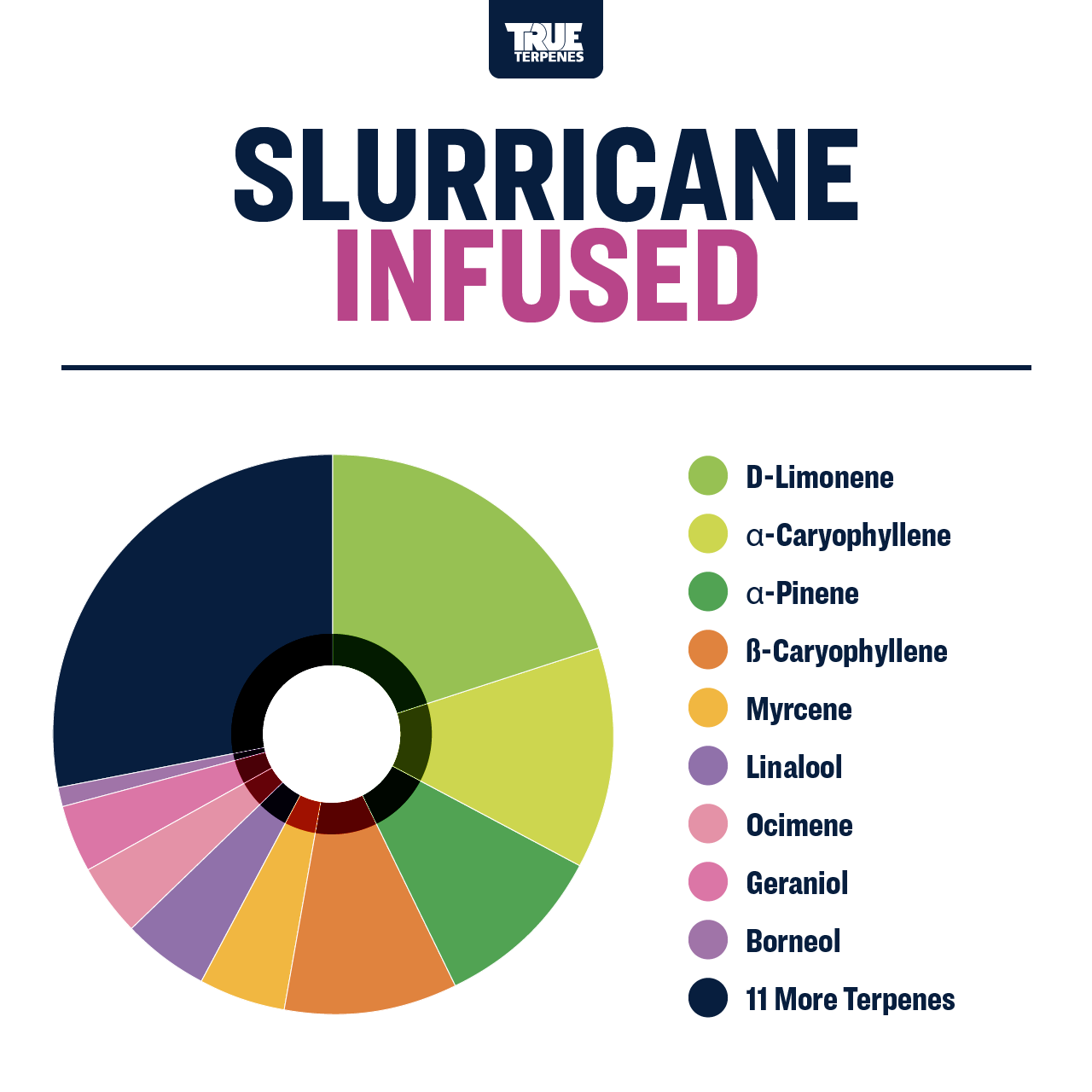 Slurricane Profile - Infused