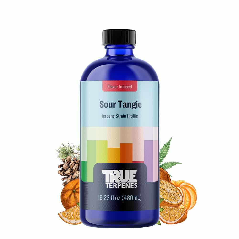 Sour Tangie Profile - Infused