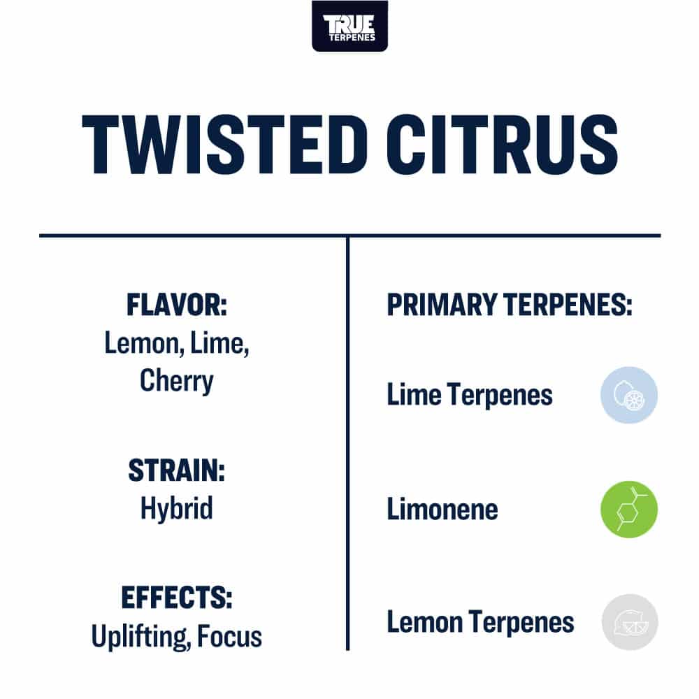Twisted Citrus Profile - Infused