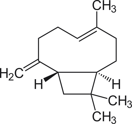 Beta Caryophyllene Terpene Isolate