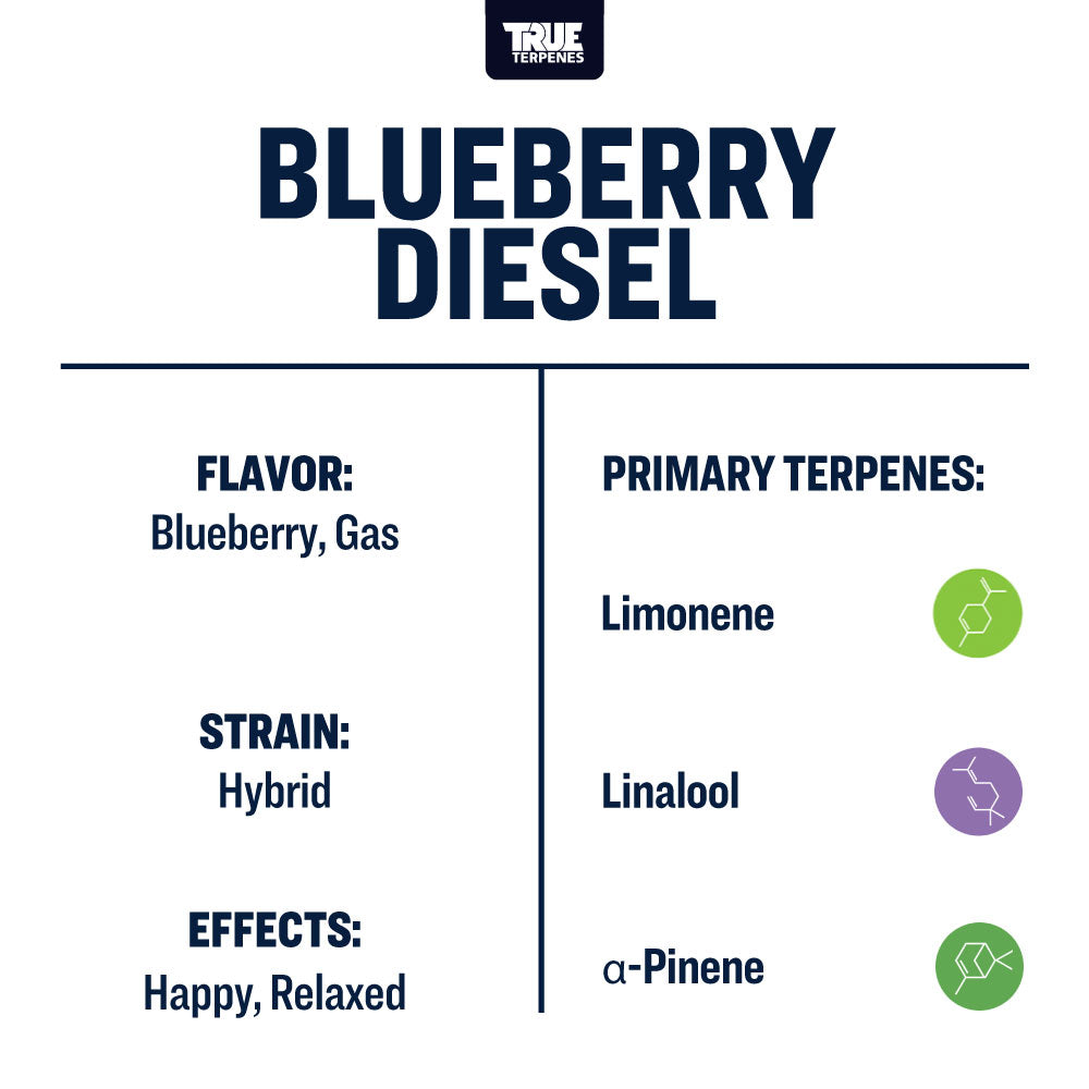 Blueberry Diesel Profile - Live Alchemy
