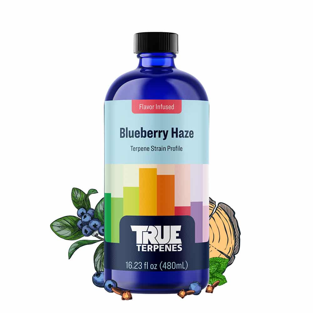 Blueberry Haze Profile - Infused