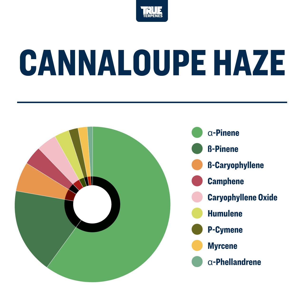 Cannalope Haze Profile - Infused