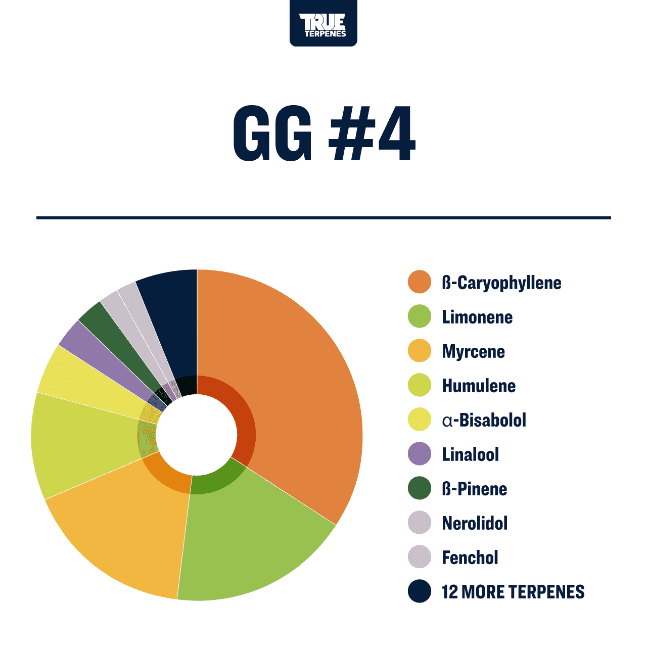 GG#4 Profile - Precision