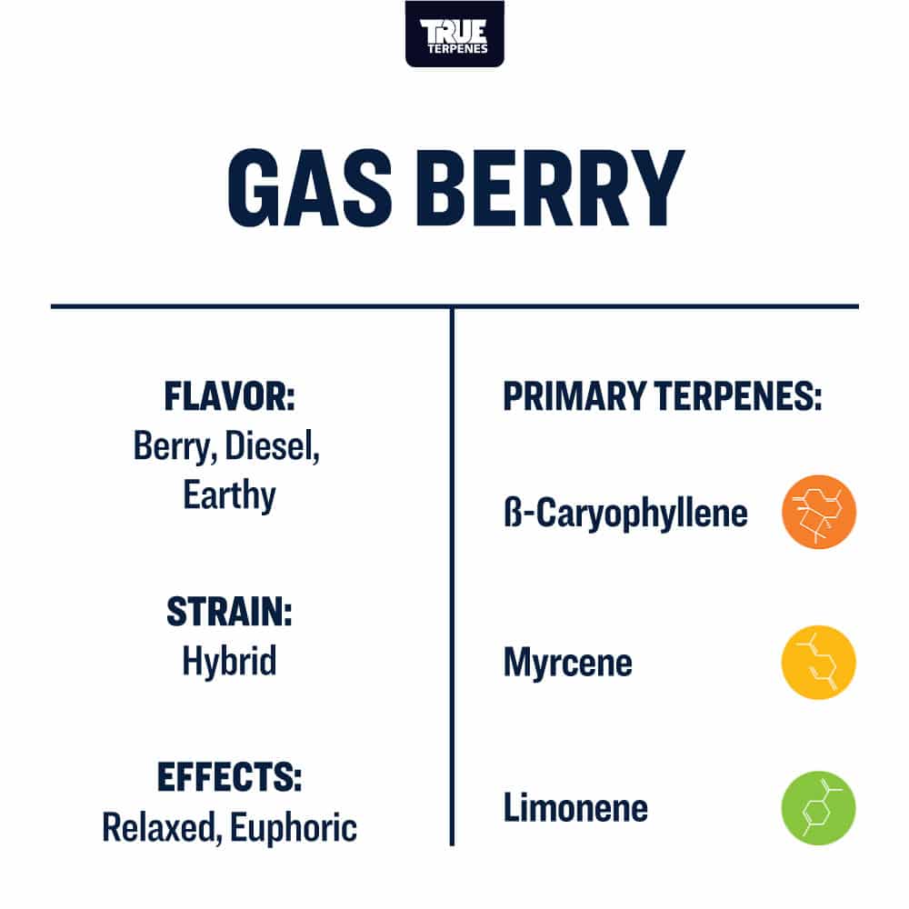 Gas Berry Profile - Live Alchemy