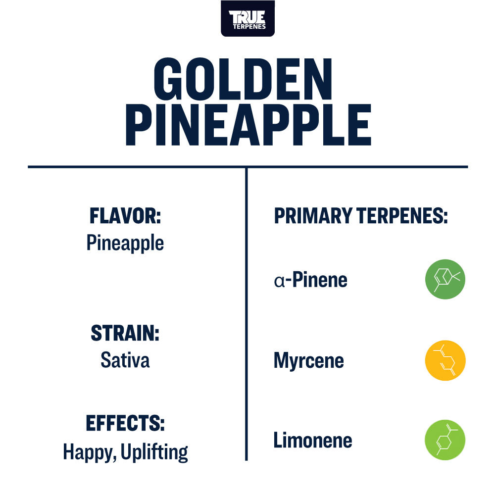 Golden Pineapple Infused