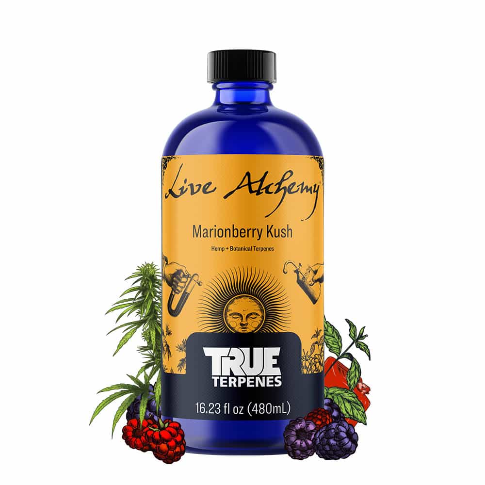Marionberry Kush Profile - Live Alchemy