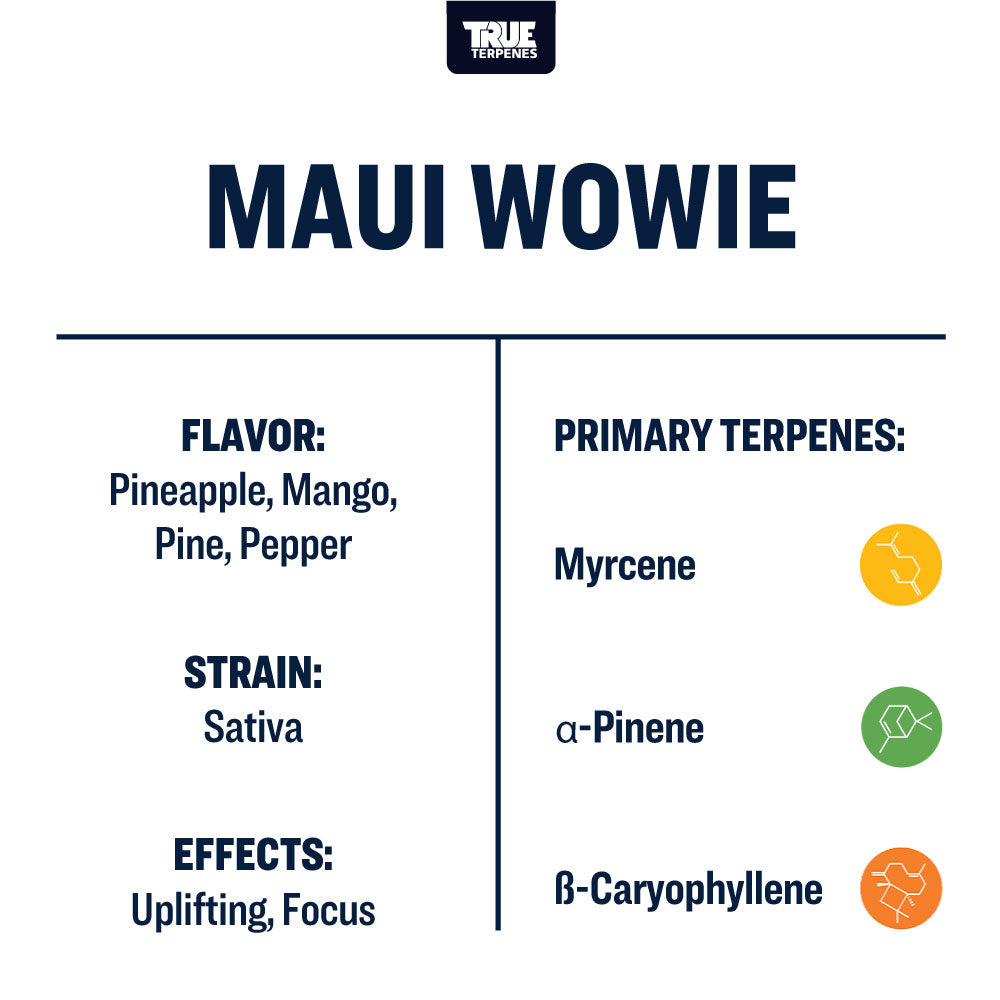 Maui Wowie Infused
