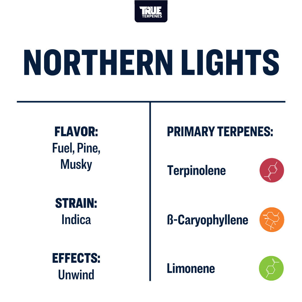 Northern Lights Profile - Precision