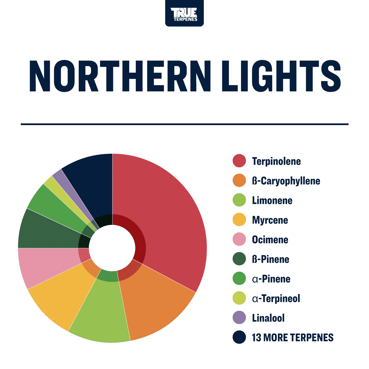 Northern Lights Profile - Precision