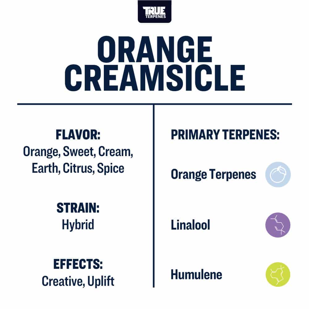 Orange Creamsicle Profile - Infused