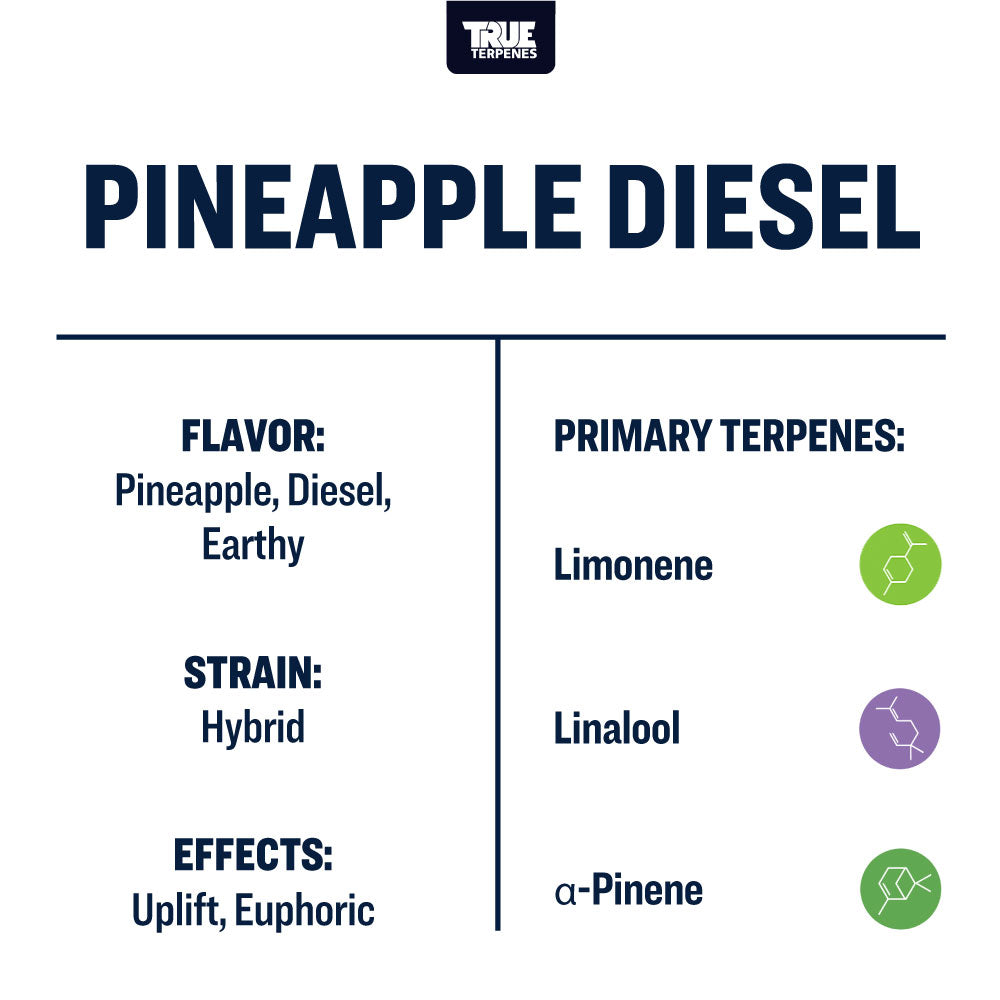 Pineapple Diesel Profile - Live Alchemy