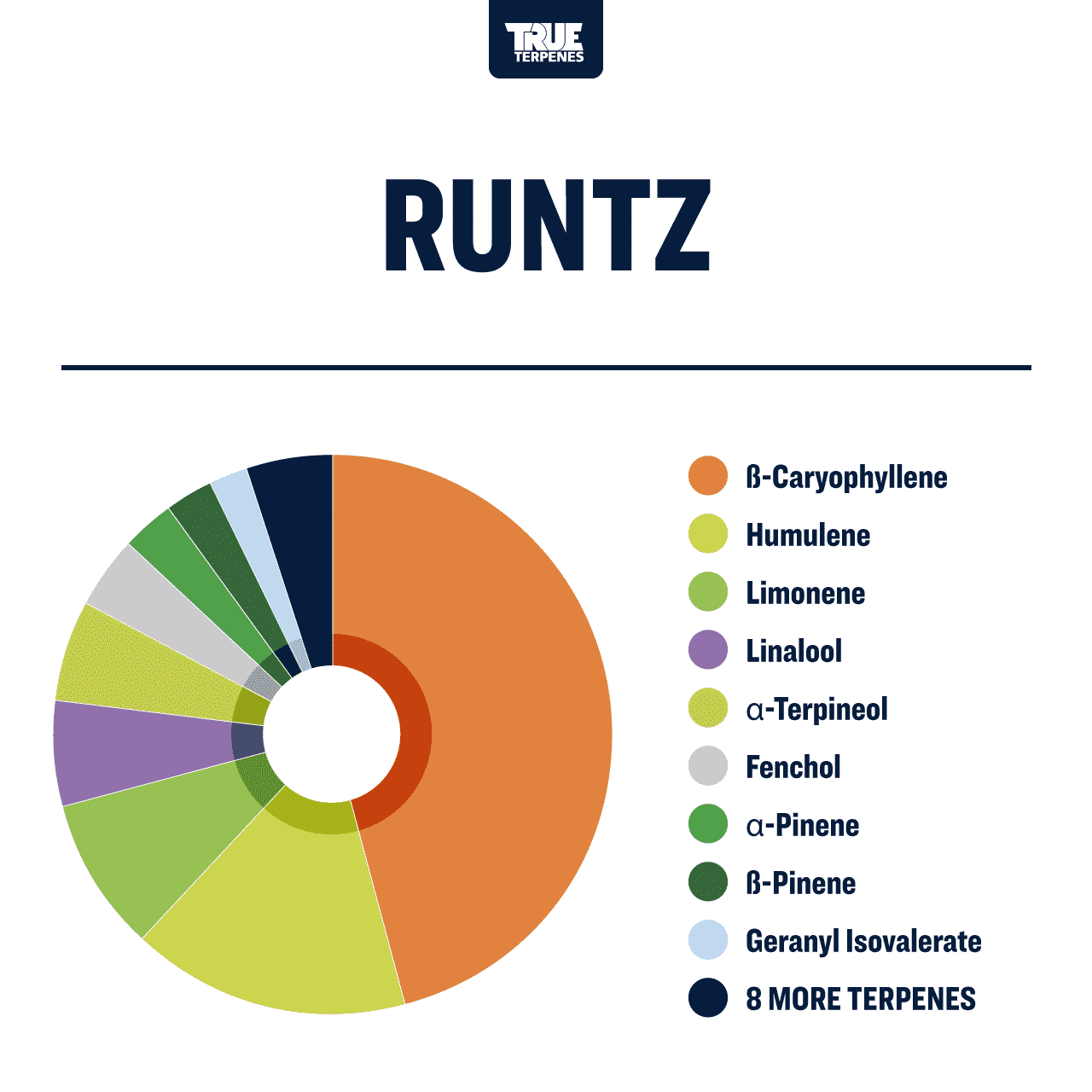Runtz Profile - Precision
