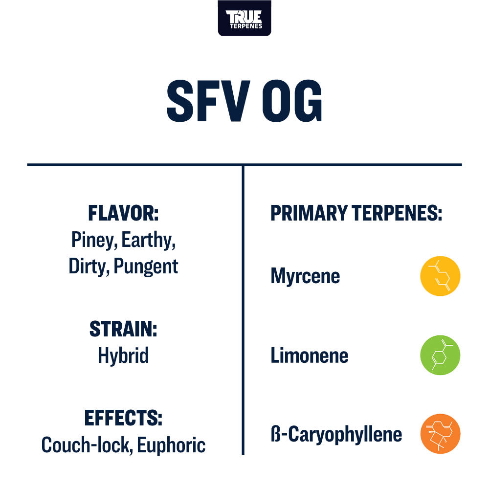 SFV OG Profile - Precision