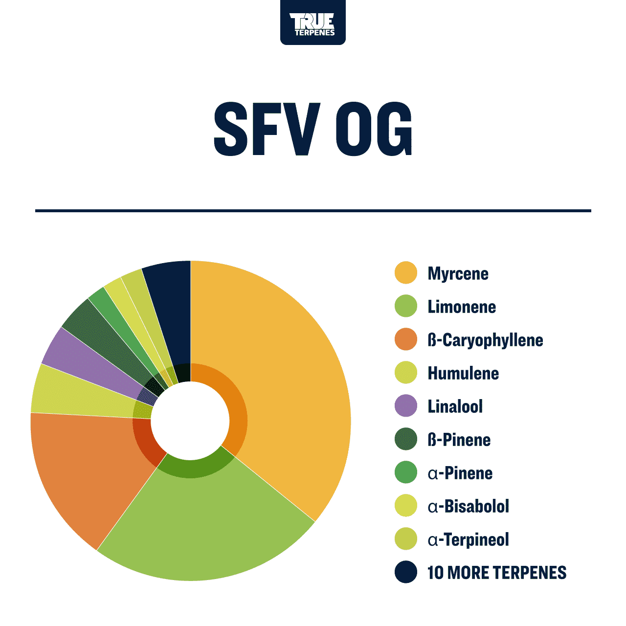 SFV OG Profile - Precision