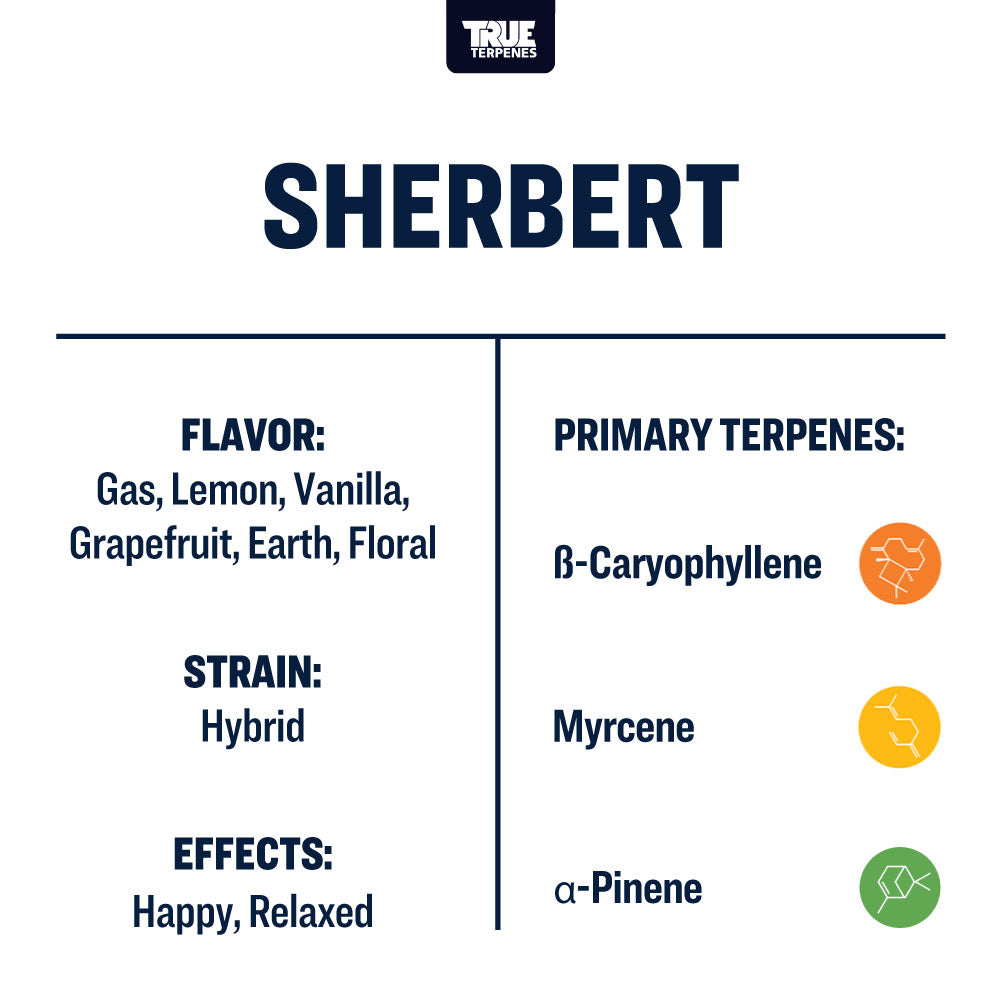 Sherbet Profile - Live Alchemy