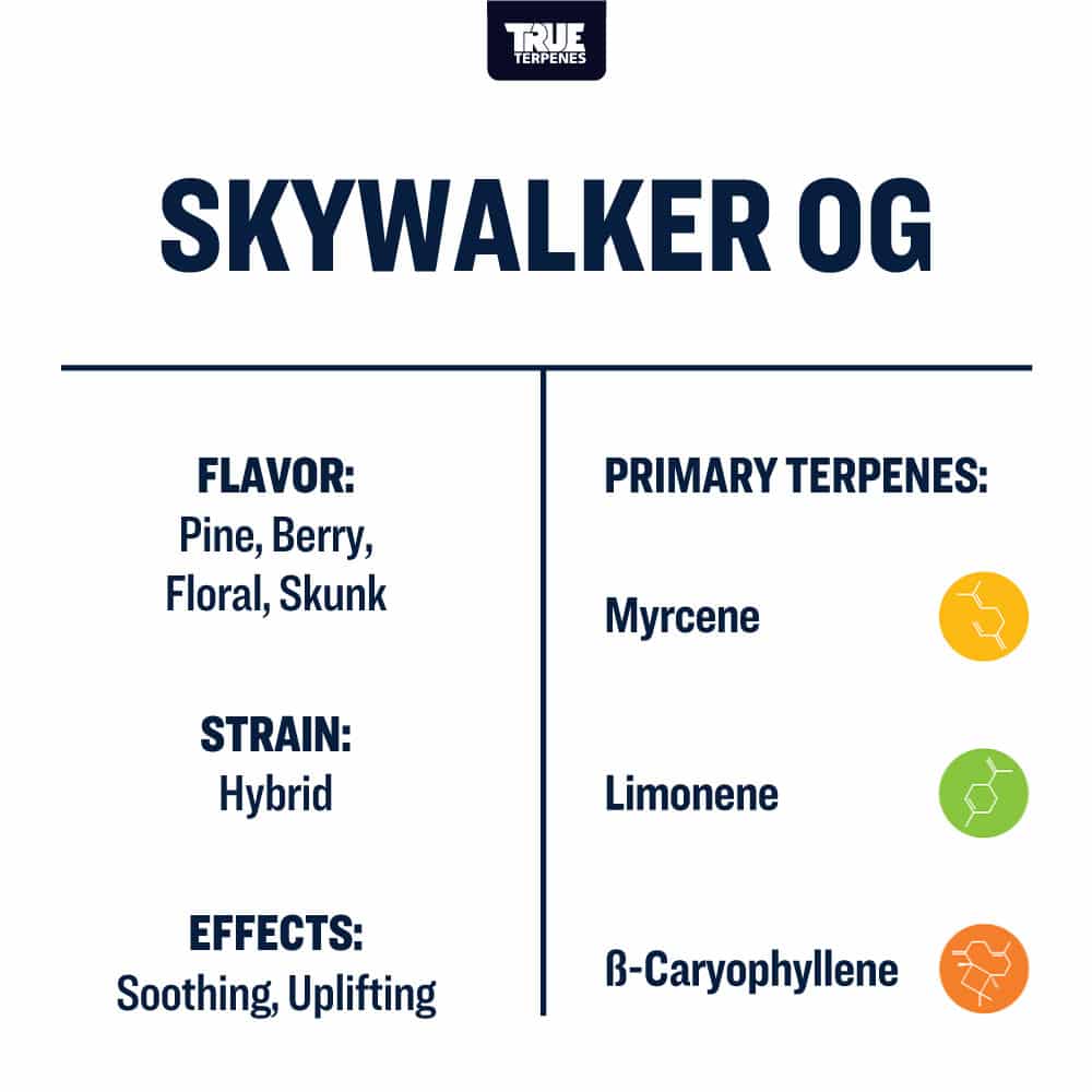 Skywalker OG Profile - Precision