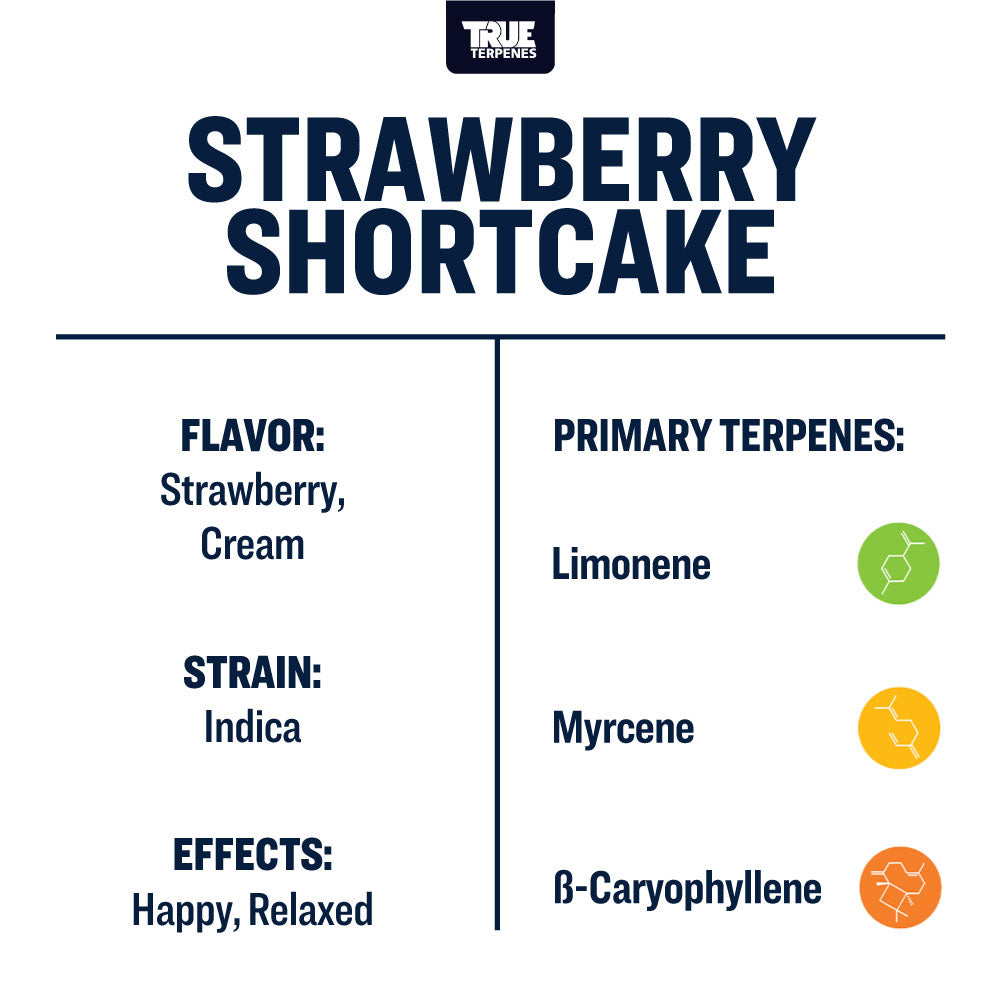 Strawberry Shortcake Profile - Infused