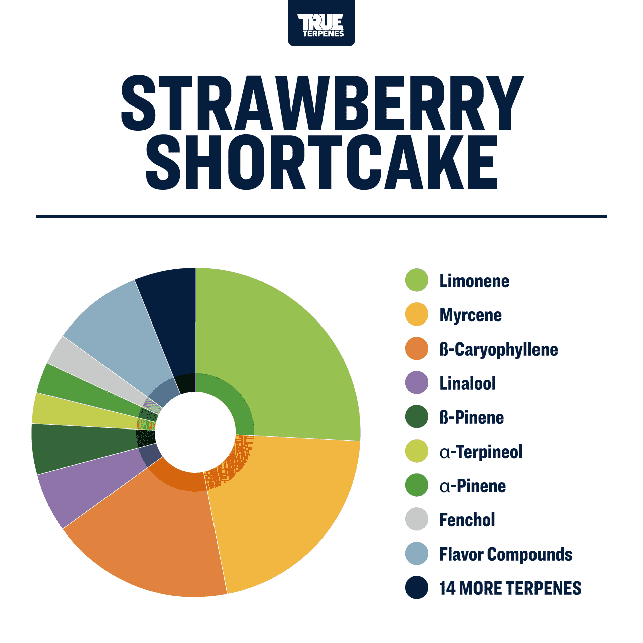 Strawberry Shortcake Profile - Infused