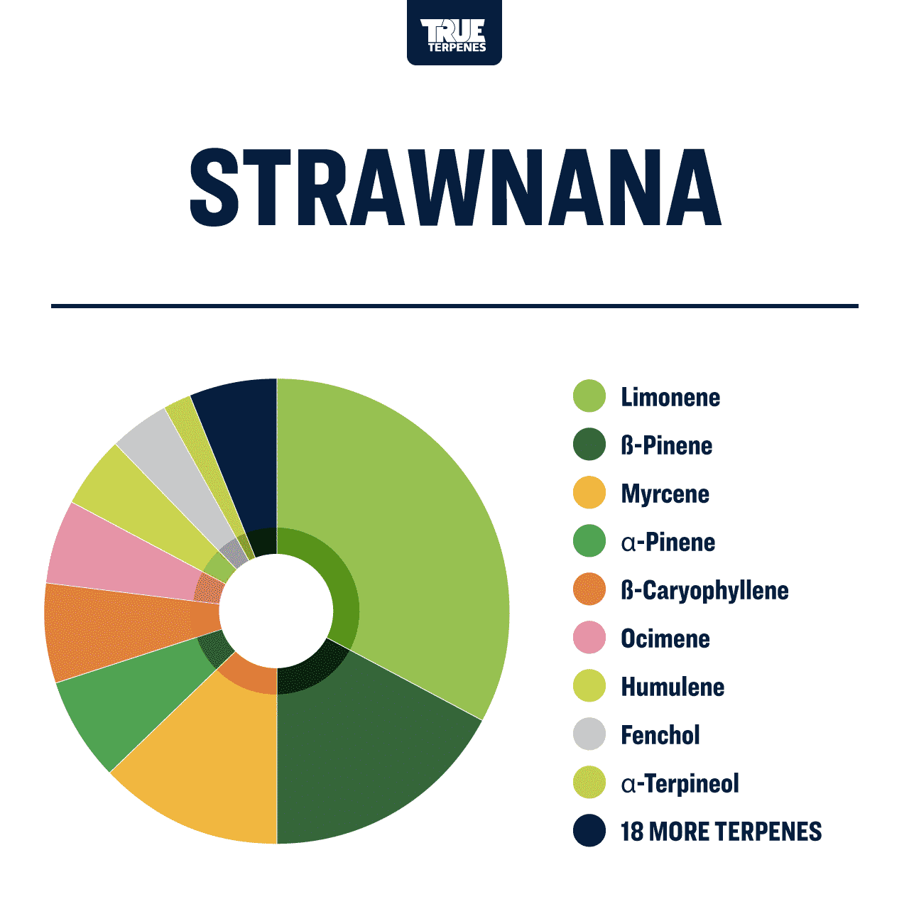 Strawnana Profile - Infused