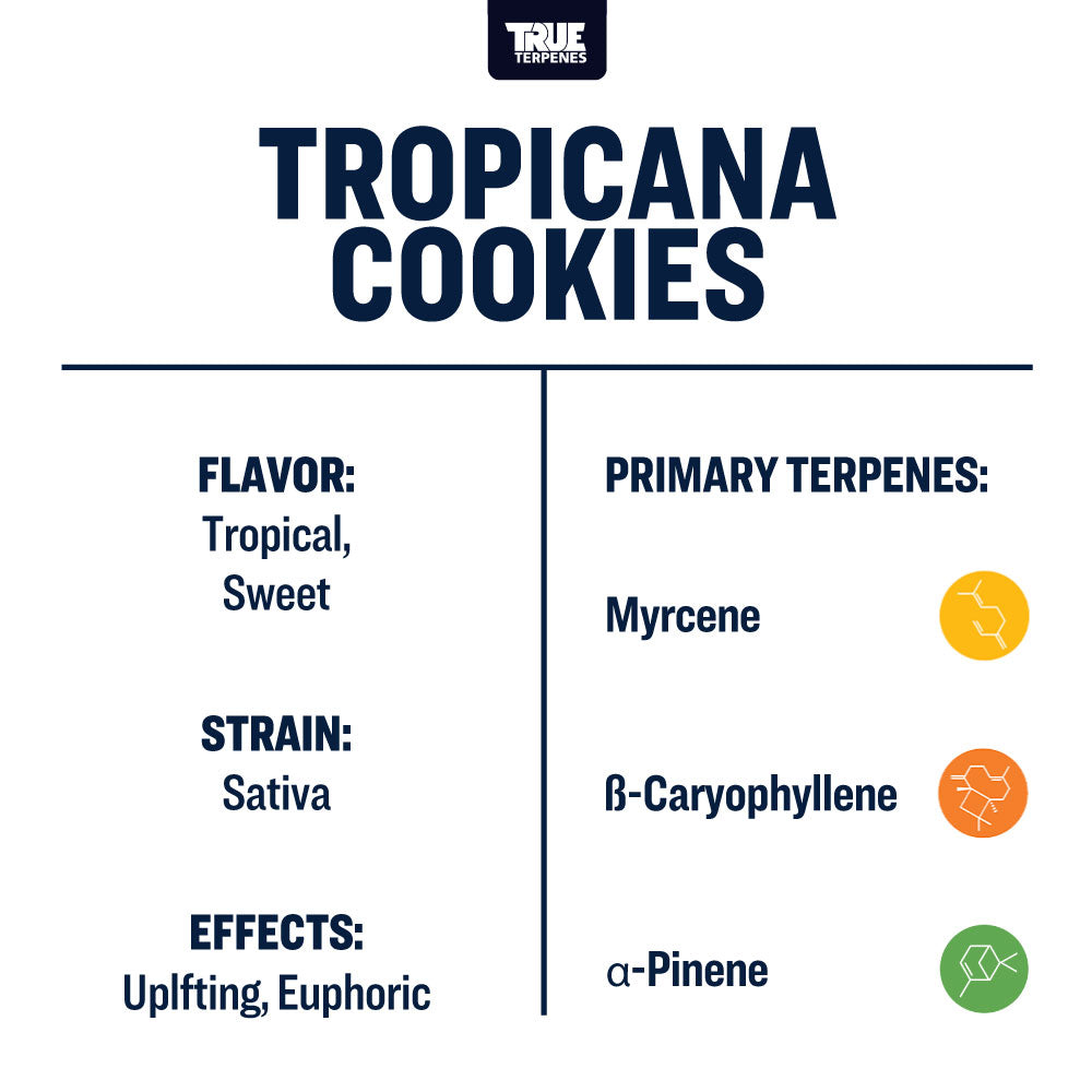 Tropicana Cookies Profile - Infused