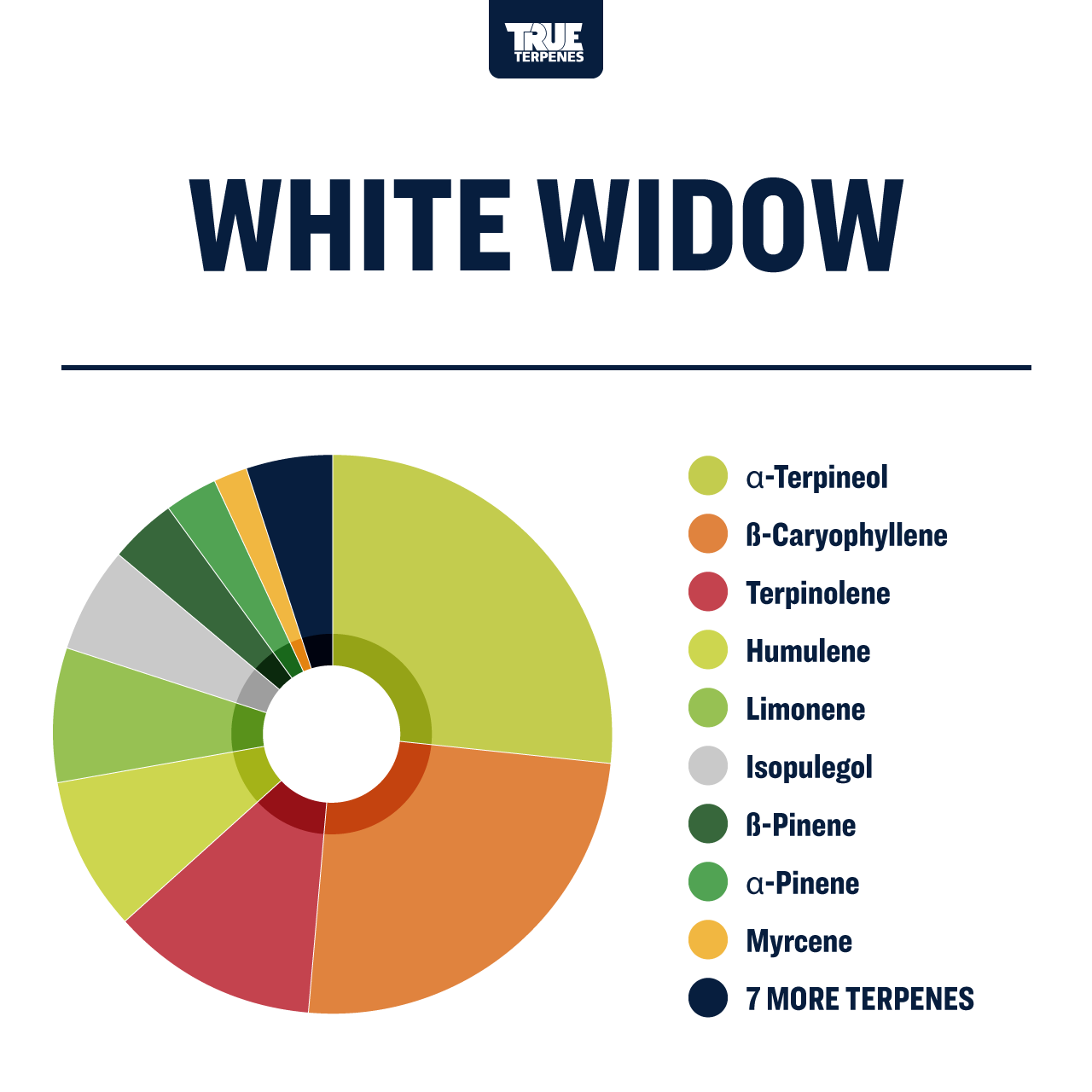 White Widow Profile - Precision